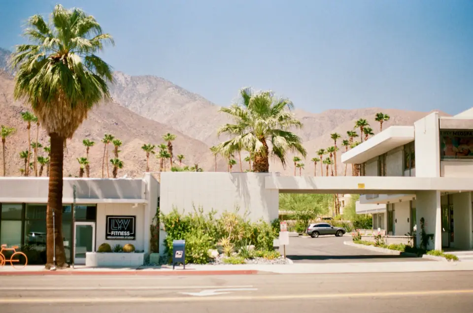 California desert architecture with palms (illustrative)